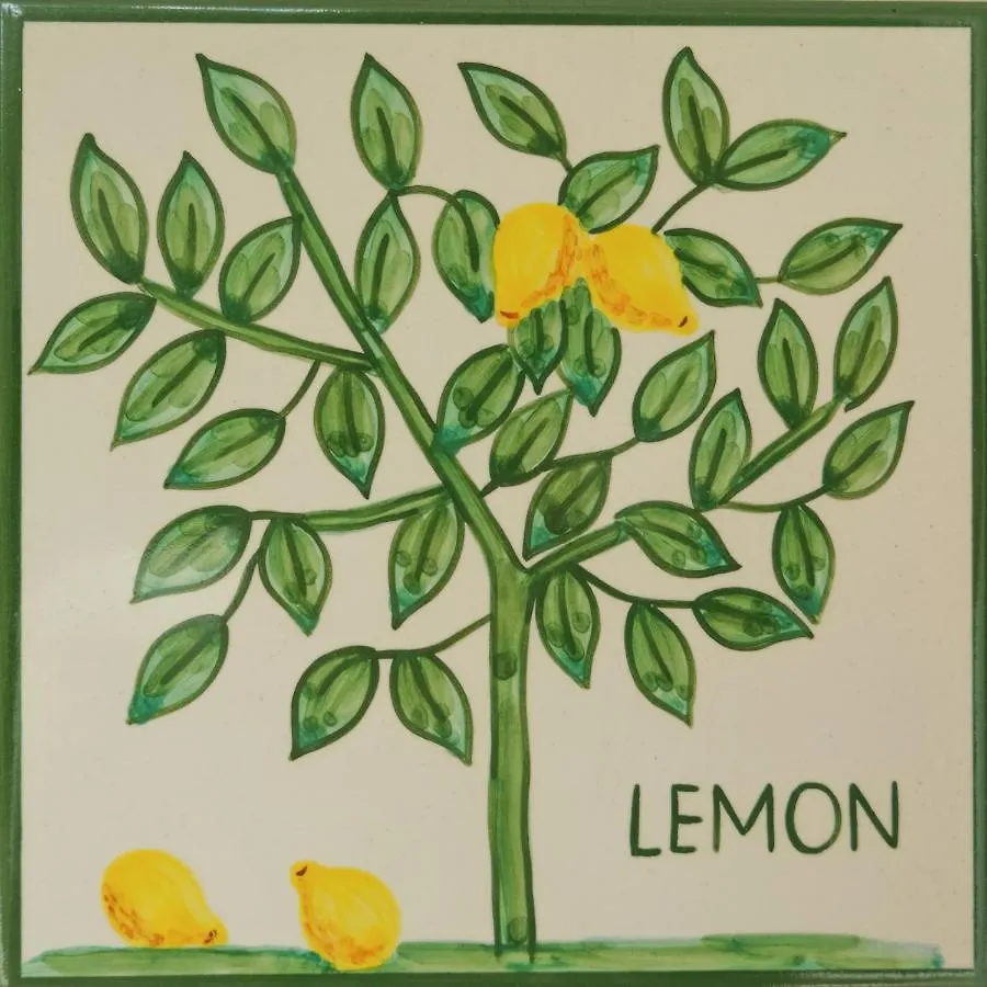 Casa Monte Cristo Apartments - Lemon Lagos